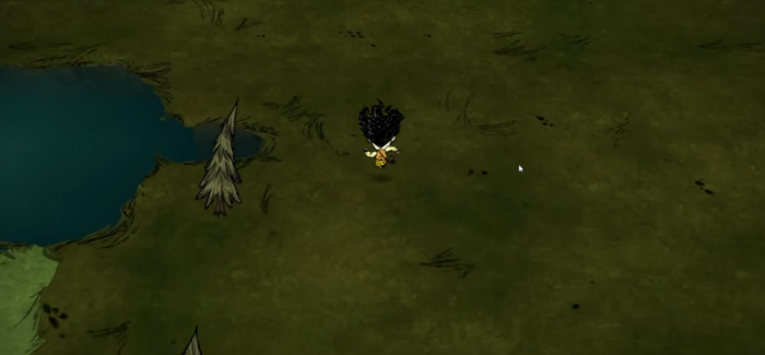 饥荒适合在哪里建家2