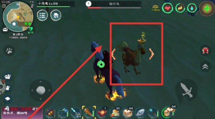 创造与魔法陆行鸟吃什么饲料2