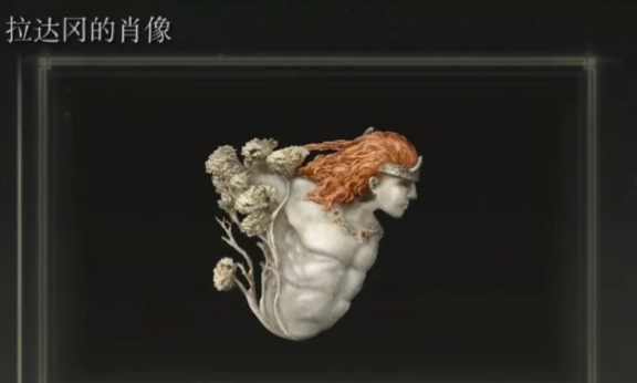 艾尔登法环全力加点怎么搞3