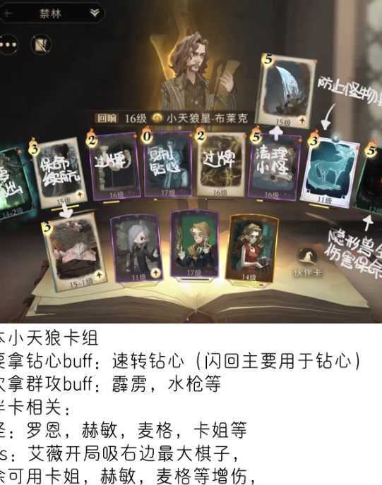 哈利波特魔法觉醒麦格强度怎么样3