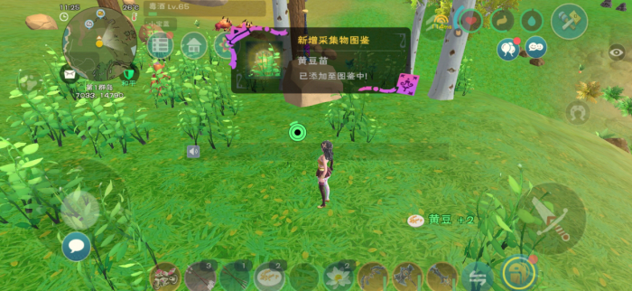 创造与魔法种子怎么杂交1