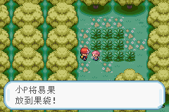 口袋妖怪火红遗传技能精灵特性是什么2