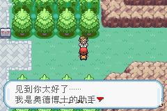 口袋妖怪火红遗传技能精灵特性是什么3