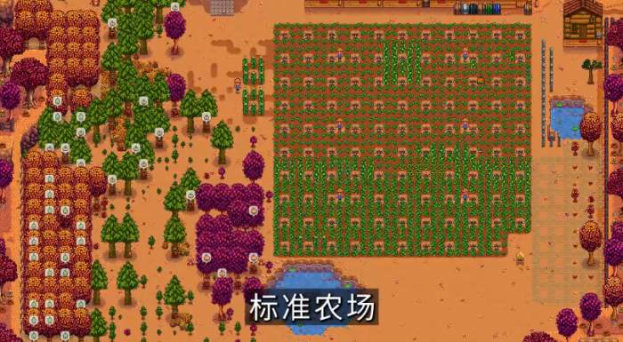 星露谷物语每种农场长什么样1