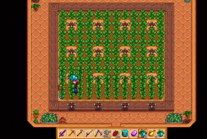 星露谷物语应该种什么2