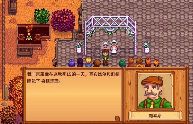 星露谷物语结婚送什么3