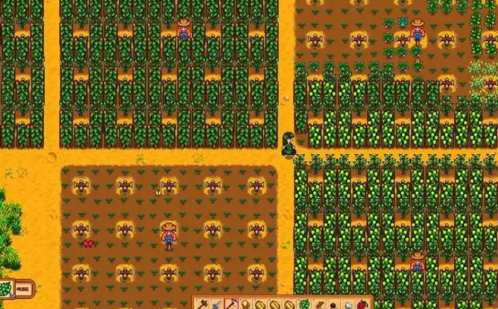 星露谷物语夏天该种什么3