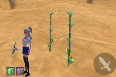 创魔玉米在里哪个位置_创魔玉米的位置