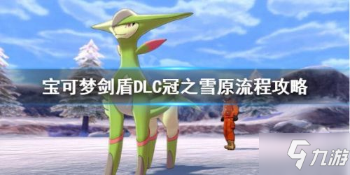 宝可梦剑盾DLC冠之雪原流程攻略 宝可梦剑盾冠之雪原怎么通关