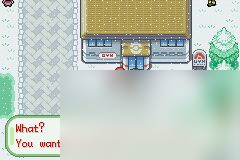 口袋妖怪织女星攻略文图 口袋妖怪织女星一周目攻略大全分享