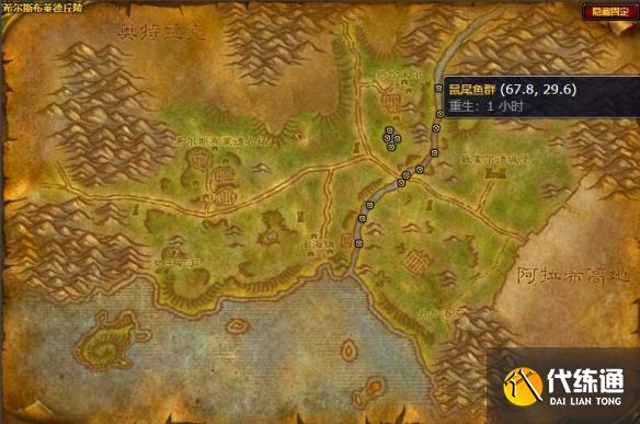 鼠尾鱼_魔兽世界鼠尾鱼在什么地方钓鱼