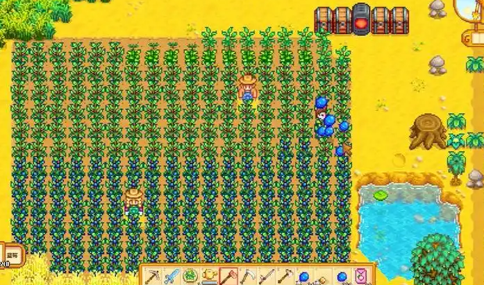 星露谷物语夏天该种什么1